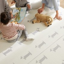 고려화학 층간소음 방지매트 닥스훈트 170x140x1.2cm - 놀이방매트