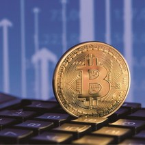 비트코인 기념주화 가상화폐 모형 동전 화폐수집 가상화페 기념동전 희귀주화 수집용 취미