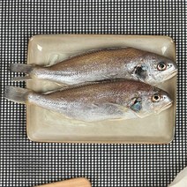 싱싱테이블 삼천포 자연산 반건조생선 자반선물세트 A, 다올1 자반용A세트, 다올1 본상품선택