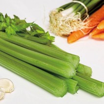 FRESH 새벽에 수확한 국내산 유기농 무농약 케일 신선초 샐러리 생 파슬리, 친환경 샐러리 3kg, 1박스
