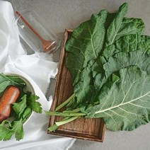 더싱싱 [유기농인증] 국내산 친환경 케일 즙용 4kg, BD 케일 즙용 4kg