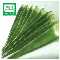 식용알로에 유기농알로에 베라(특품) 5kg 생알로에 알로에농장 먹는알로에, 알로에베라5kg, 1개