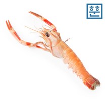 자연산 딱새우 소사이즈 1kg (육수용), 1개
