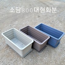소담800특대형 플라스틱화분 텃밭 옥상 베란다대형화분, 화분베이지