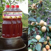 하동 매실원액 지리산산골 3년숙성 토종 황매실원액 1800ml 매실청 매실액기스 매실액, 3개