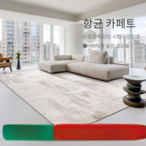 러그 거실 침실 카페트 대형 카펫트 RUG 항균 음이온