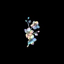자동차포인트 00841 벗나무가지 튜닝스티커, XL, 카본