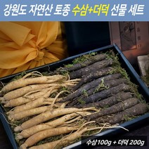 자연산 더덕 수삼 강원도 토종 생인삼 인삼 야생더덕 생더덕 생삼 사포닌 진세노사이드 명절 추석 설날 건강식품 선물 세트 국내산, 1set
