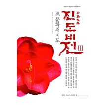 진도비전 3 : 문화의 지도