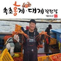 [속초 산지직송] 예원수산 제철홍게 생물 자숙(찜) 라면용 실속형 정품형 박달형 홍게택배, 1박스, 자숙 라면용 3kg(9-11미)