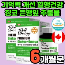 고3 수험생 낫토 대두 레시틴 두뇌 중학생 노년기 징코 빌로바 혈행 개선 기억력에 좋은 캡슐 추천 뇌 기능 개선 80대 노인 은행잎 추출물 두뇌 집중력 높이는 뇌에 좋은 영양제