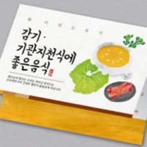 웰빙전도지(감기 기관지 천식에 좋은음식) 복음전도지 2단전도지, 150g스노우지 4000매(1~2종)