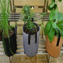 부직포화분 간편한 분갈이 블루베리키우기 2갤런, 2화분2갤런-회색