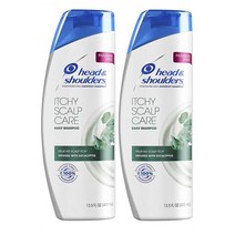헤드앤숄더 잇치 스캘프 케어 안티 댄드러프 비듬 샴푸 400ml 2개