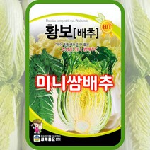 쌈배추씨앗 황보 미니배추 종자 300립 조생종 채소씨 쌈채소씨앗, 단품