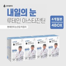 안구 망막 모세 혈관 혈류량 증가 눈 시력 피로도 노화 회복 건강 을 지키는 루테인 아스타잔틴 헤마토코쿠스 영양제, 4BOX(4개월분)