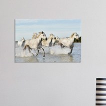 꾸밈 cc710-아크릴액자성공의상징말그림2 아크릴액자
