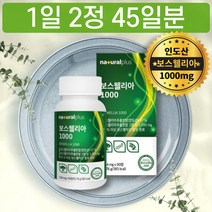 인도산 보스웰리아 보스벨리아 함량 1000mg 유향나무 보수엘리아 덩어리 보스베리아 보이스웰리아 후기 구입 판매처 PX 파는곳 정타입 사무직 직장인 추천 선물 20대 30대 디자이너 개발자