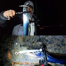 갈치웜 풀치웜 쉐드웜 엔젤릭쉐드, 041, 2.5inch