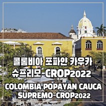 (커피생두) 115 콜롬비아 포파얀 카우카 슈프리모-CROP2022 500g