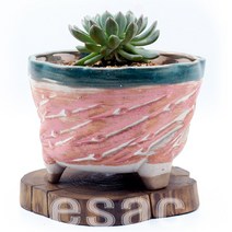 국내산 도자기 이삭 M, 도자기 M 15