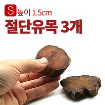 세틀 절단 유목 S 3개 모스활착판 높이 1.5cm