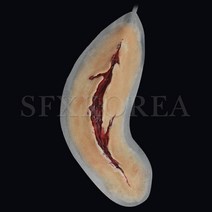 SFX.자가점착 외상피부 병원 경찰 군부대 응급처치 훈련교재 상처치료훈련 시뮬레이션 연습키트, 16.SFX.외상피부_창상(직선형, 대)