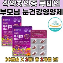 루테인 식약처인증 수험생눈영양제 눈침침 눈영양 2통 비문증원인 비문증검사 비문증치료 지아잔틴루테인 눈이물감 황반변성영양제 천연루테인 눈영양제추천 눈피로할때 눈이침침할때 눈영양제