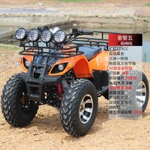 짐운반 농업용 사륜바이크 소형 산악 네발바이크 ATV 오토바이 레저용 4륜구동, 패키지 5/3 인렛/샤프트 트랜스
