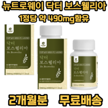 뉴트로웨이 닥터 보스웰리아 1000 식 약 처 인증 인도산 결정 셀룰로오스 우슬추출 분말 초록입홍합분말 히알루론산 혼합분말 엽산 산화아연 비타민 푸마르산제일철, 2개