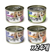 테비 참치의정석 혼합 160g x 24개 고양이캔, 참치(160gX24개)