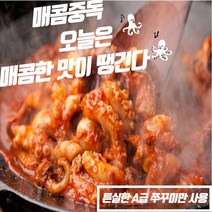 쭈꾸미볶음 맛집 냉동 쭈꾸미볶음 밀키트 택배 매운맛/보통맛 300g 1팩 2팩 3팩, 300g 2팩
