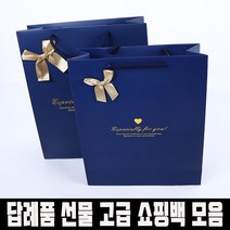 스페셜 종이가방 네이비 브라운 색상 5개 세트 튼튼한 고급 구정 설 명절 선물쇼핑백, 스페셜 종이가방 네이비 색상 5개