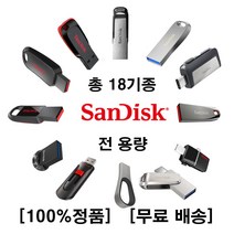 샌디스크 USB 모음전(총 18종), 11. CZ880 [256GB]