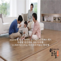 2023년형 일월 더마루 골드에디션 좌우분리난방 전자파 차단 무자계 카페트매트 Lg하우시스 Z:in 원단 층간소음완화 미끄러지지않는, 1)특대형 260x200cm
