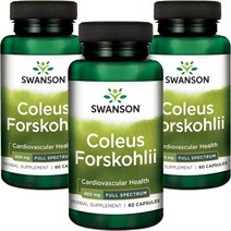 스완슨 콜레우스 포스콜리 400mg 캡슐, 60개입, 3개