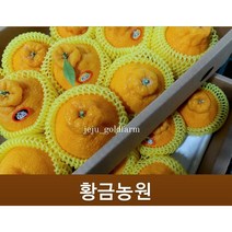 고당도 하우스 한라봉 명절세트 한시적 무조건 당일발송 당도보장, 선믈고급5kg왕특대과(9~10과)