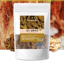 국내산 장수 상황버섯 250g 원물 상황버섯차