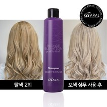 카랄 옐로우아웃 이탈리아 직수입 탈색 헤어 애쉬 컬러관리 약산성 노옐로우 보색샴푸, 2개, 300ml