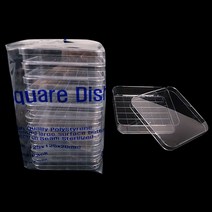 [바이위즈] 멸균 샬레 페트리 디쉬 60 파이 90 150 mm 스퀘어 디쉬 과학 수업 실험 연구 실 준비물 용품 세포 미생물 배양 접시 기자재 전용 도구 재료 Petri dish, 스퀘어디쉬+스티커선물