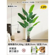 인조 바나나나무 인조목 모조 야자 관엽 휴양지 식물, 트래블러스 바나나 190cm