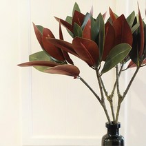 큰 목련 나무잎 단풍느낌 차분한 실내 조경 사무실 서재 아들방인테리어 통로 조화장식 사장실