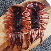 구룡포 피데기 반건조 오징어 고추장 버터 증정 진공포장 산지직송, 대 5미 725g