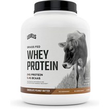 Levels Grass Fed 맛있는 쉐이크 GMO 없음 초콜릿 땅콩 버터 5LB, 2파운드(1팩), 초콜릿 모카