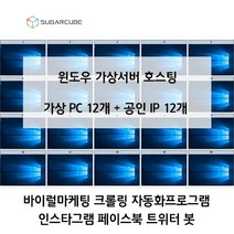 젠서버 12개 공인IP 12개 바이럴마케팅 가상컴퓨터 가상pc 자동화프로그램 당일세팅