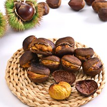 2022년 햇밤 홀라당 군밤 포르단 뜨래밤 국산밤, 군밤용 홀라당 포르단밤(특대)_칼집밤 1kg