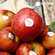 자연식탁 [정품인증]충남 예산 고당도 엔비사과 2.5kg 중과(9-10과)