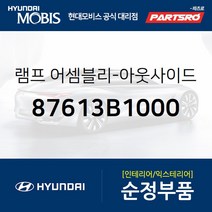 사이드미러(빽미러) 램프 등 좌측 (87613B1000) 제네시스 제네시스 G80