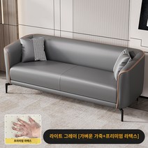 거실꾸미기 가정용쇼파 쇼파베드 북유럽 소파 작은 아파트 거실 가죽 모던 심플 2 인 3 인 아파트 임대 소유자 침실 작은 소파, 169. 라이트 그레이(라이트 럭셔리 레더) 고급 라텍, 170. 키 3명 182cm [베개 3개 보내주세요]