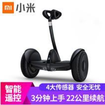 XIAOMI NineBot Plus 샤오미 나인봇 미니 플러스, [패키지2] 블랙 54v